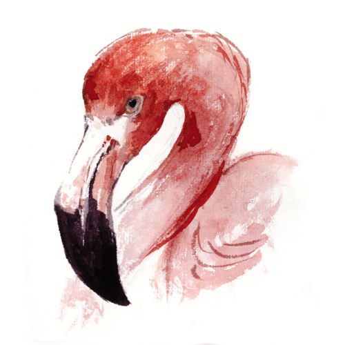 The Door - Bottled Cocktail - Flamingo