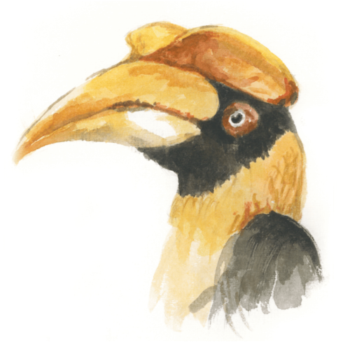 The Door - Bottled Cocktail - Nashornvogel
